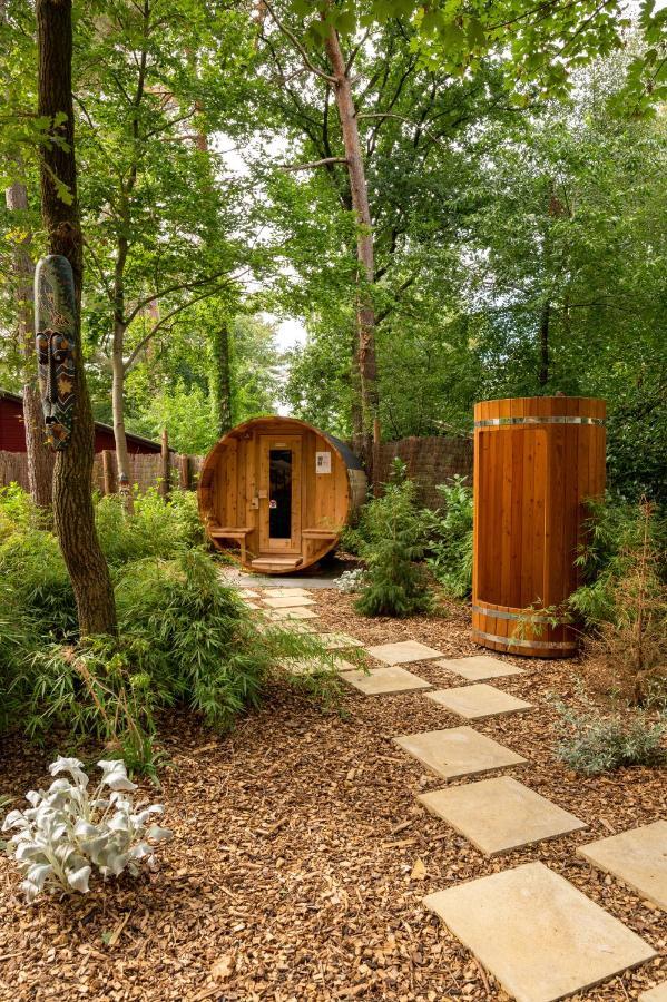 Rheezerveen Zen-Bungalow No 4 Met Sauna En Hottub מראה חיצוני תמונה