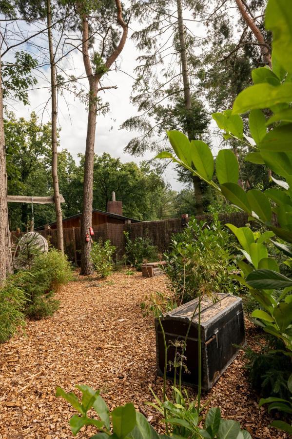 Rheezerveen Zen-Bungalow No 4 Met Sauna En Hottub מראה חיצוני תמונה